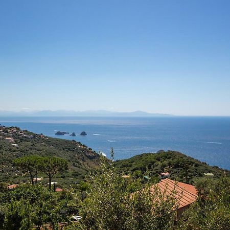 Geca'S House - Panoramic Sea View Studio Massa Lubrense Eksteriør bilde