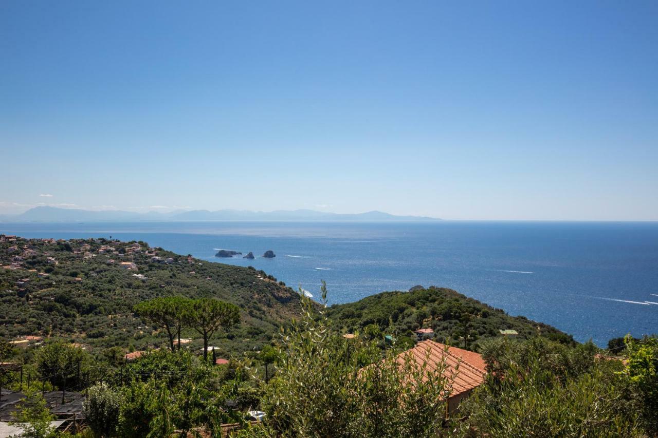 Geca'S House - Panoramic Sea View Studio Massa Lubrense Eksteriør bilde